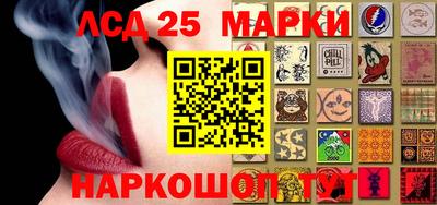 индика Ставрополь