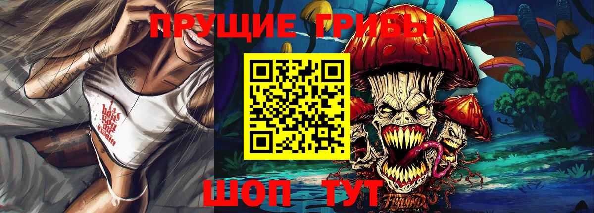 Псилоцибиновые грибы Cubensis  Вход с VPN  Галлюциногенные грибы мухоморы  Новозыбков 