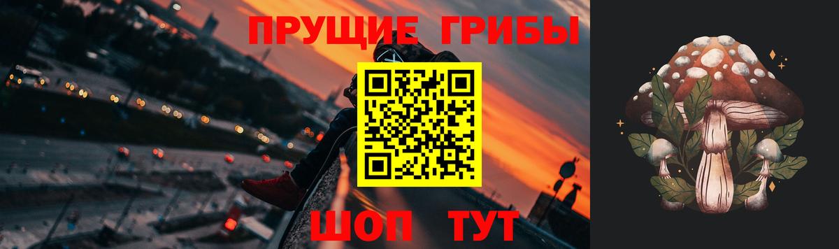 Псилоцибиновые грибы Psilocybine cubensis Новозыбков