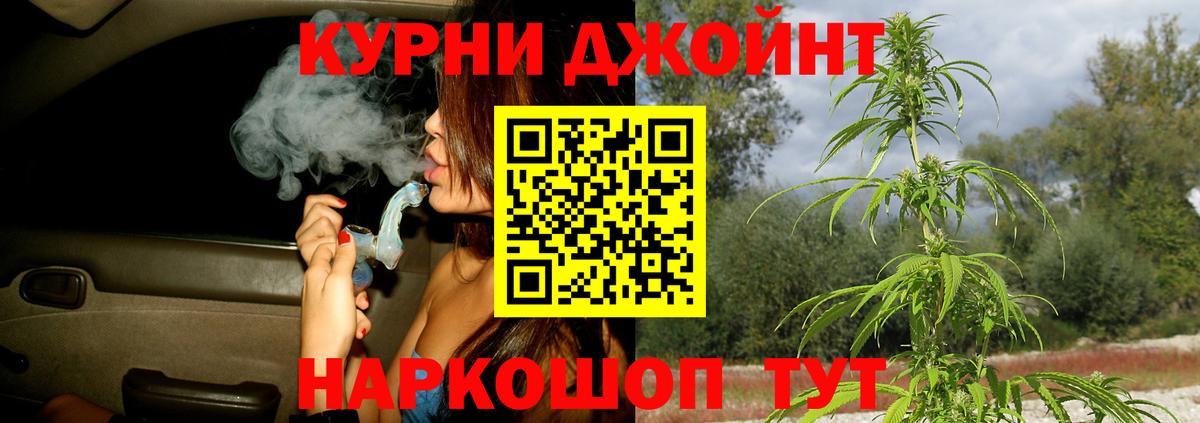 Каннабис индика Новозыбков